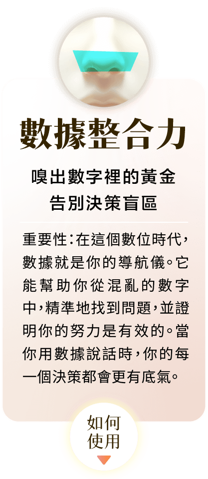 數據整合力