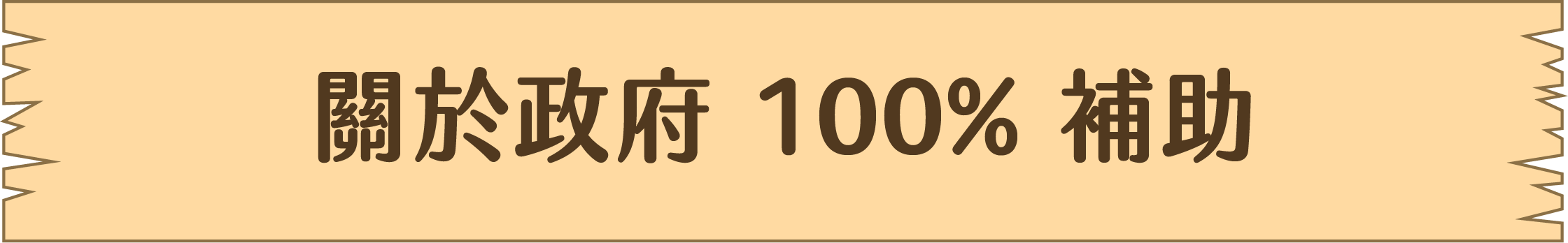 關於政府 100% 補助