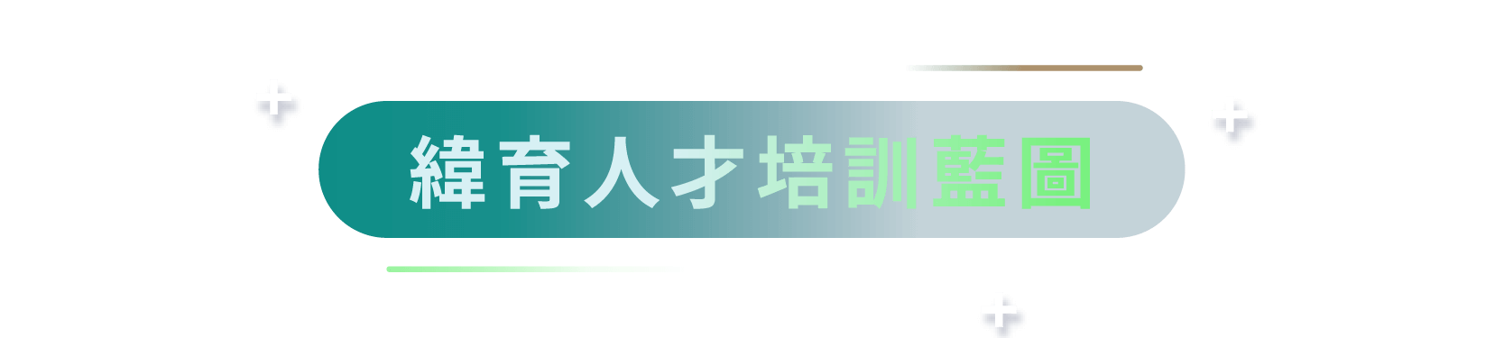 緯育人才培訓藍圖