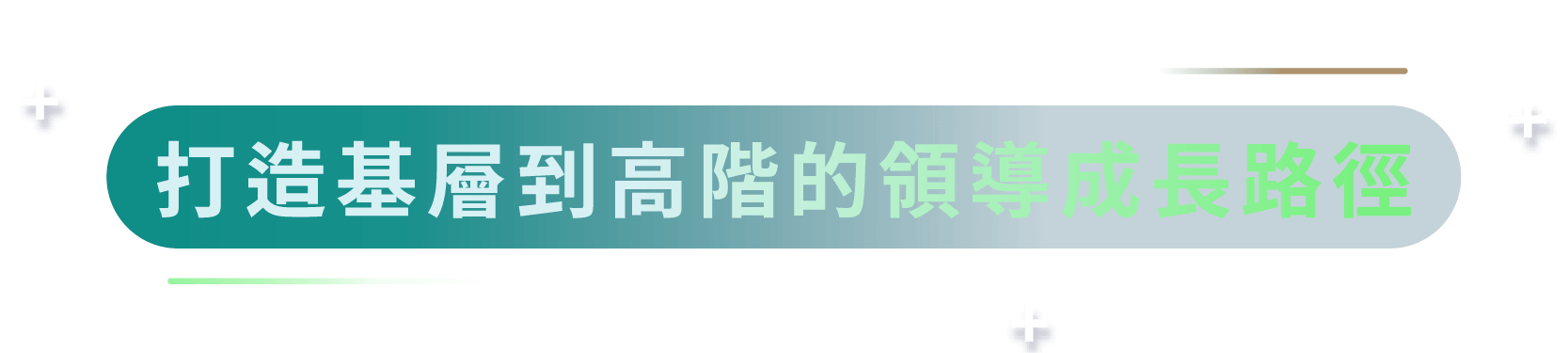打造基層到高階的領導成長路徑