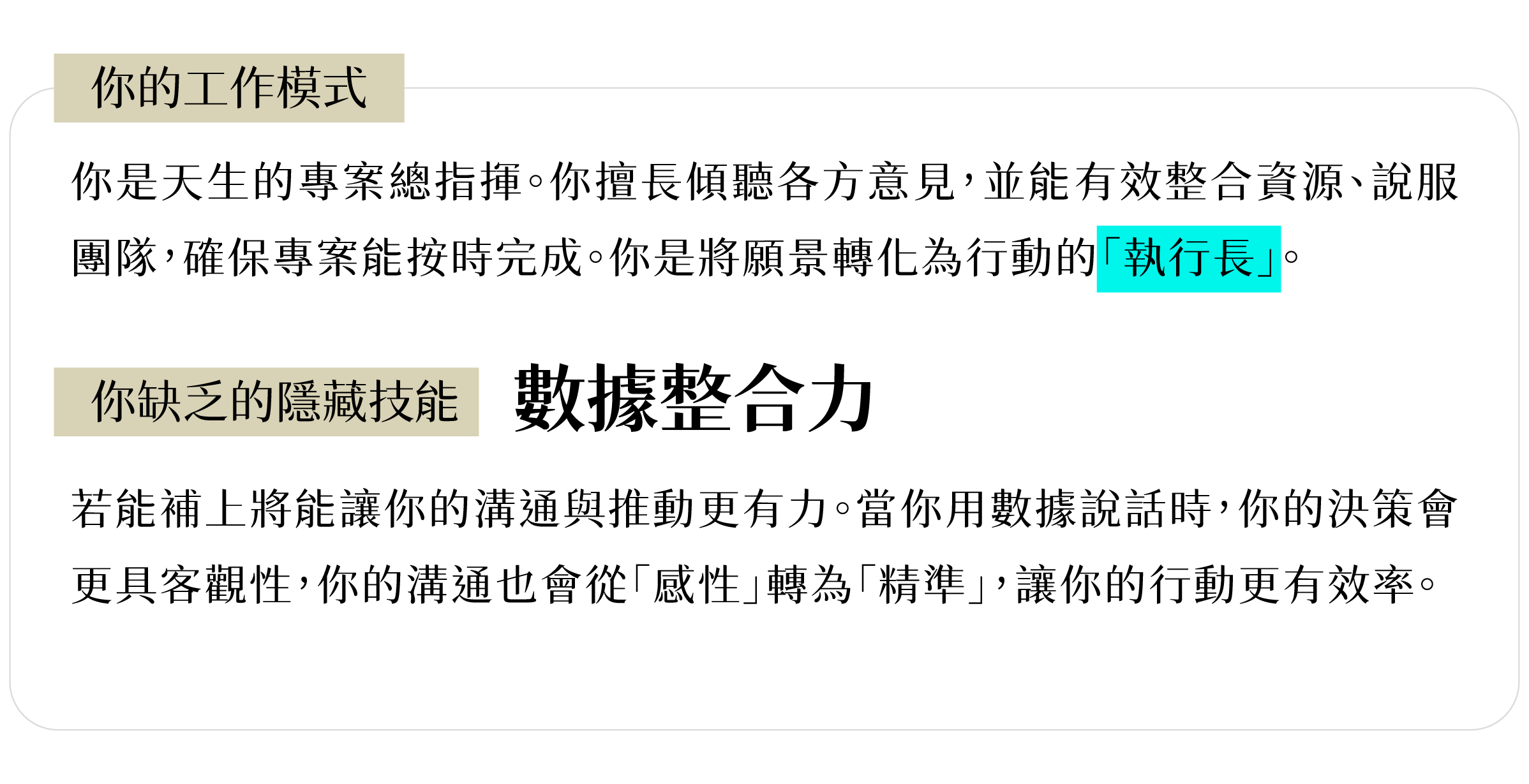 各項能力說明｜高效推動型