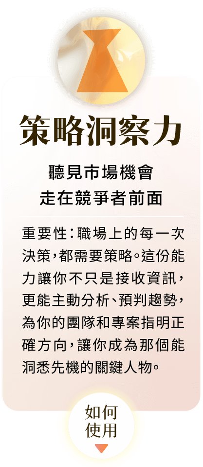 策略洞察力