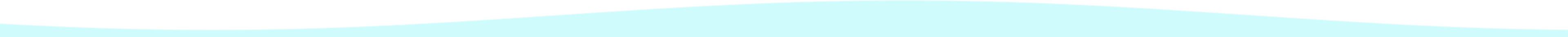 Footer Strip Image